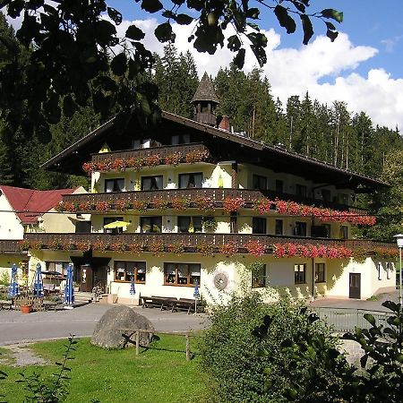 Gasthof Muehle - Natur- & Wanderhotel Rinchnach Exteriér fotografie